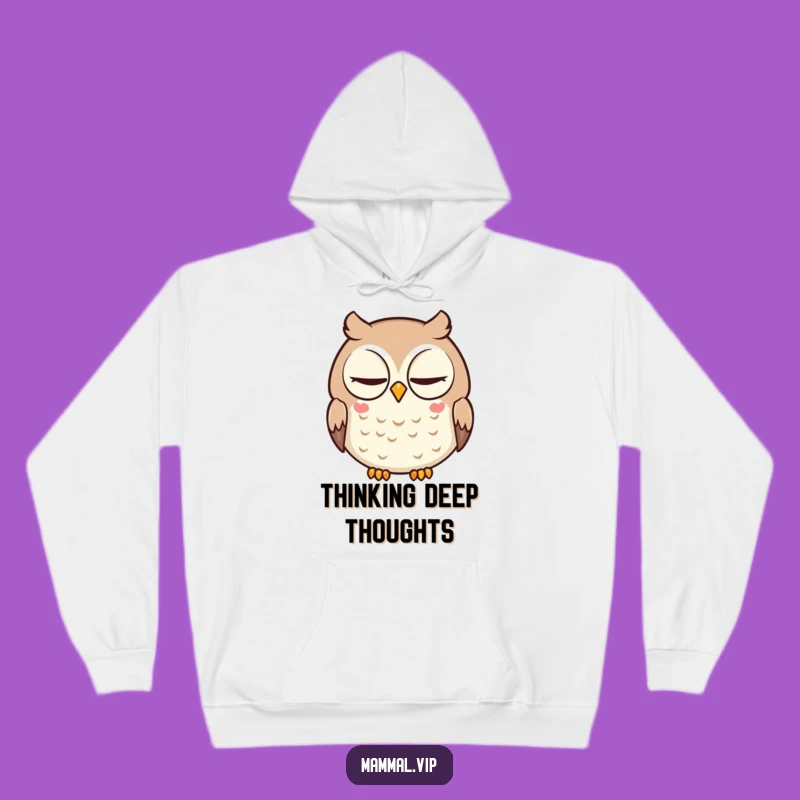 Funny Owl Hoodie: Comfy Cartoon Character Slow Blink Sweatshirt for Chill